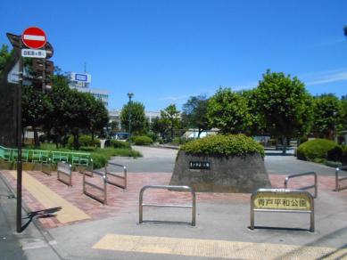 写真